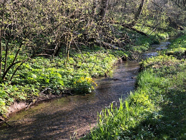 Grubmühle