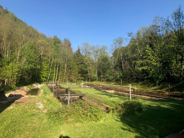 Grubmühle